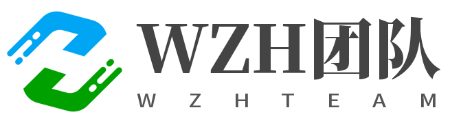 WZH团队照片